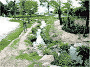 竹原火力発電所